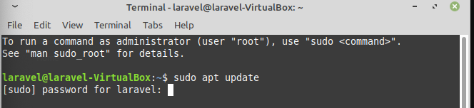 Terminal screen with `sudo apt update` run and asking for password