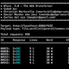 Screenshot of the Command Line Interface for the Wfuzz tool